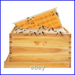 Bee Incubator Beekeeping Box with Nest Frame&Foundation 5-Frame Bee Hive Box Kit
