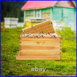 Bee Incubator Beekeeping Box with Nest Frame&Foundation 5-Frame Bee Hive Box Kit