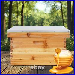 Bee Incubator Beekeeping Box with Nest Frame&Foundation 5-Frame Bee Hive Box Kit Bee Incubator Beekeeping Box with Nest Frame&Foundation 5-Frame Bee Hive Box Kit