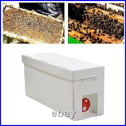 Bee Pollination Bee Rearing System Plastic Beehive Stand Equipment