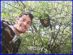 Bee Venom Collector Machine, Raw bee venom collector, Bee venom machine 2pcs