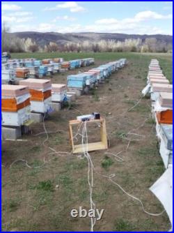 Bee Venom Collector Machine, Raw bee venom collector, Bee venom machine 2pcs