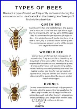 Bee Venom Collector Machine, Raw bee venom collector, Bee venom machine 2pcs