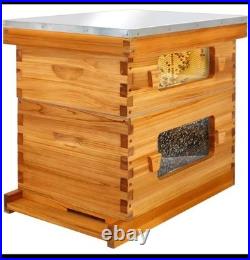 Bee hive 8 frame 2 Layer With Windows New In Box