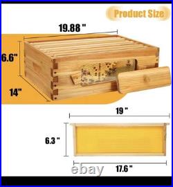 Bee hive 8 frame 2 Layer With Windows New In Box