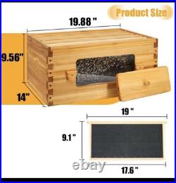 Bee hive 8 frame 2 Layer With Windows New In Box