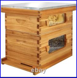 Bee hive 8 frame 2 Layer With Windows New In Box