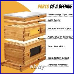 Bee hive 8 frame 2 Layer With Windows New In Box