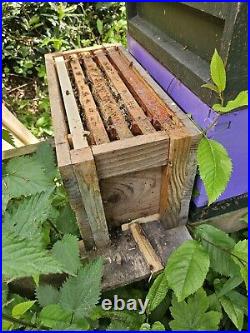 Bee hives with live bees