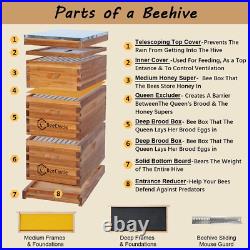 Beecastle 10 Frame Langstroth Bee Hive Coated with 100% Beeswax Includes Beehive