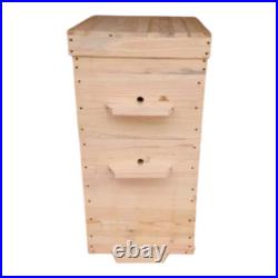 Beehive 10 Frame Bee Hive