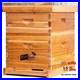 Beehive_10_Frame_Bee_Hives_and_Supplies_Starter_Kit_Bee_Hive_for_Beginner_01_rjaj