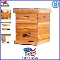 Beehive 10 Frame Bee Hives and Supplies Starter Kit, Bee Hive for Beginner, H