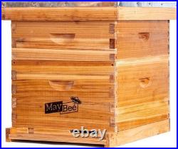 Beehive 10 Frame Bee Hives and Supplies Starter Kit, Bee Hive for Beginner, H