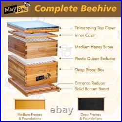 Beehive 10 Frame Bee Hives and Supplies Starter Kit, Bee Hive for Beginner, Hone