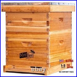 Beehive 10 Frame Starter Kit Bee Hive for Beginner Kit Includes 10 Frames