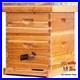Beehive_10_Frame_Starter_Kit_Bee_Hive_for_Beginner_Kit_Includes_10_Frames_01_mpbu