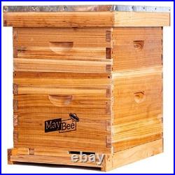 Beehive 10 Frame Starter Kit Bee Hive for Beginner Kit Includes 10 Frames