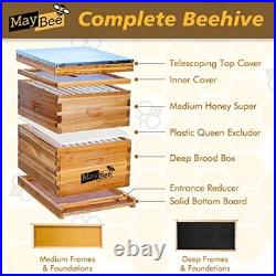Beehive 10 Frame Starter Kit Bee Hive for Beginner Kit Includes 10 Frames