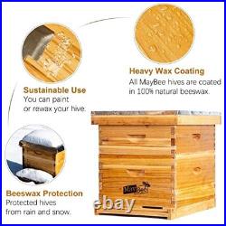 Beehive 10 Frame Starter Kit Bee Hive for Beginner Kit Includes 10 Frames