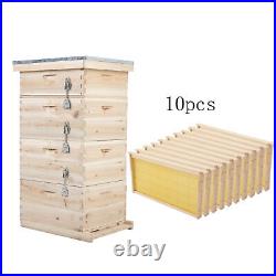 Beehive Beekeeping Brood House Box Honey Beekeeper with 10x Honey Bee Hive Frames