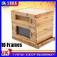 Beehive_Box_Kit_Bee_Honey_Hive_10_Frames_Complete_Beehive_Kit_Natural_Wooden_01_ciwf