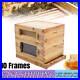 Beehive_Box_Kit_Bee_Honey_Hive_10_Frames_Medium_Beeswax_Natural_Fir_Wood_UK_01_rb