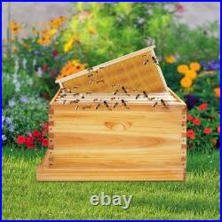 Beehive Box Wooden Brood Box Hive Frames Beekeeping Honey with 5 Frames