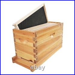 Beehive Box Wooden Brood Box Hive Frames Beekeeping Honey with 5 Frames