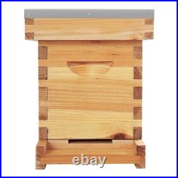 Beehive Box Wooden Brood Box Hive Frames Beekeeping Honey with 5 Frames Beehive Box Wooden Brood Box Hive Frames Beekeeping Honey with 5 Frames