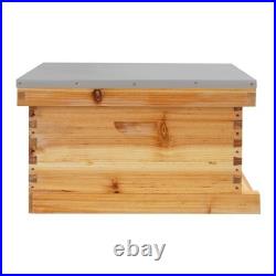 Beehive Box Wooden Brood Box Hive Frames Beekeeping Honey with 5 Frames