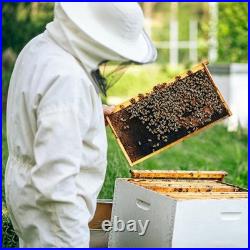 Beehive Frames 20 Pack Deep Brood 9-1/8 Waxed Foundations Black BeeCastle Hives
