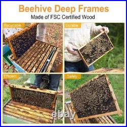 Beehive Frames 20 Pack Deep Brood 9-1/8 Waxed Foundations Black BeeCastle Hives