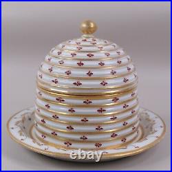 Beehive Honeypot Coalport Worcester Porcelain h10cm x w13cm Circa 1810