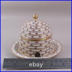 Beehive Honeypot Coalport Worcester Porcelain h10cm x w13cm Circa 1810