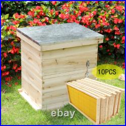 Beehive Kit Beeswax Coated Hive Frames and Foundation Sheet Beekeeping Brood Box