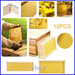 Beehive Kit Beeswax Coated Hive Frames and Foundation Sheet Beekeeping Brood Box
