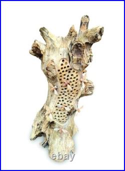 Beehive Sculpture 60cm with 8 Bees, Teak Root Ornament
