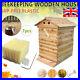 Beehive_Super_Beekeeping_Brood_House_Box_with_7pcs_Auto_Honey_Bee_Hive_Frames_Set_01_jd