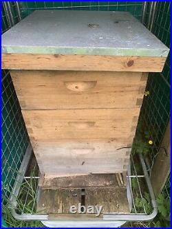 Beehive With Bees for Sale