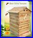 Beehive_Wooden_Beekeeping_House_Auto_Brood_Bee_Hives_Box_7PCS_Honey_Frames_01_fkg