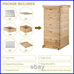 Beehive Wooden Box Beekeeping Beginner Cedar Super Brood Box Honey Bee Hive UK