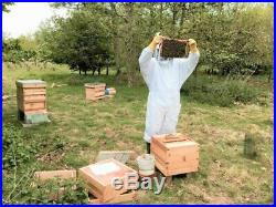 Beehive, bee hive National, Genuine English cedar, for honey bees, Best sold 2020