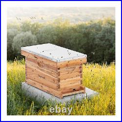 Beehive bee house offshoot box bee house pike fir complete set