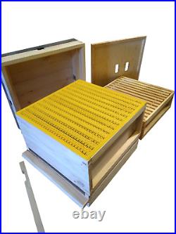 Beehive with 2 Supers From Beekeeping Supplies UK Ltd