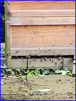 Beehives Job Lot Wooden Beehive Boxes & Frames, Smoker, Honey Extractor Drum