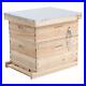Beekeeper_Beekeeping_Honey_Bee_Pupae_Housing_Wooden_Hive_Frame_Beehive_Brood_Box_01_bp