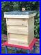 Beekeeper_Starter_Set_Cedar_beehive_professional_suit_frames_wax_tools_01_vbvg