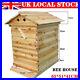 Beekeeping_Auto_Honey_Hive_Beehive_House_Cedarwood_Super_Brood_Super_Brood_Box_01_iche