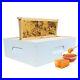 Beekeeping_Beehive_Box_Honey_Bee_Box_10_Frame_Assamble_Medium_Beehive_Box_01_xn